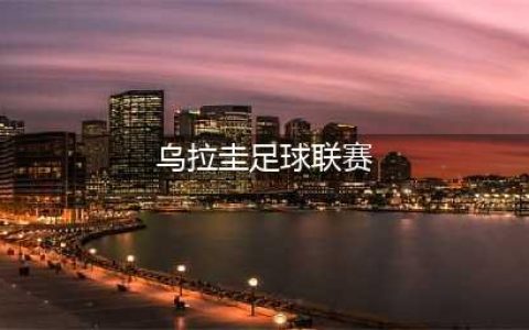 乌拉圭足球队在2024年美洲杯小组赛取得三连胜，创造历史(乌拉圭足球联赛)