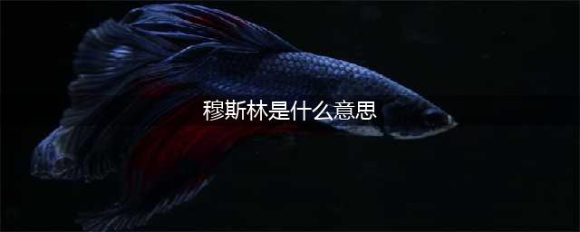 真实的穆斯林是什么？加拿大到底有多少穆斯林?(穆斯林是什么意思)