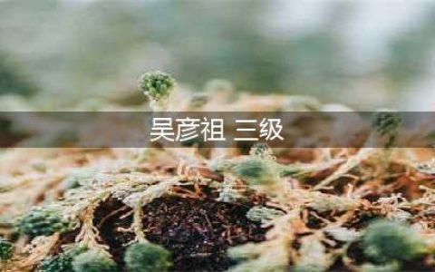扒扒吴彦祖被迫接拍三级片的幕后隐情(吴彦祖 三级)