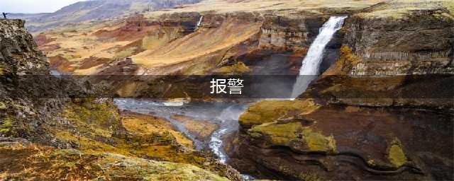 人大毕业生被指盗取全校学生信息进行颜值打分！校方：已报警(报警)