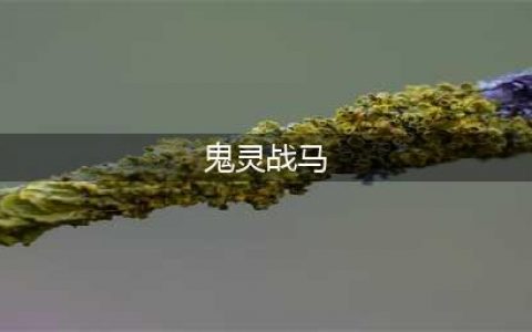 《暗黑破坏神4》鬼灵战马获取方法推荐