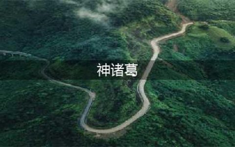 《三国杀》神诸葛亮怎么样 神诸葛亮技能属性一览(神诸葛)