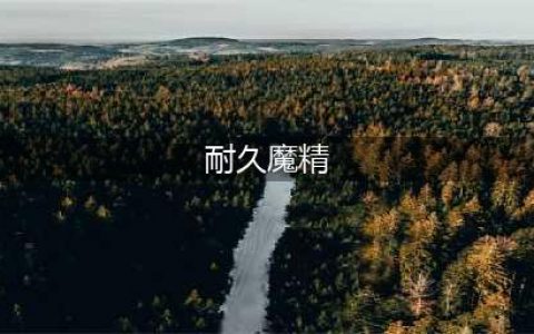 魔兽怀旧服魔精瓷盘属性一览(耐久魔精)