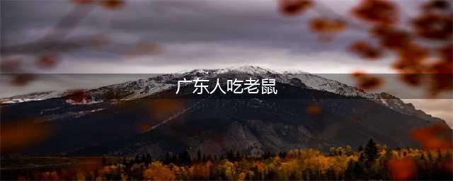 为什么说广东人爱吃老鼠肉？老鼠肉真的能吃吗？(广东人吃老鼠)