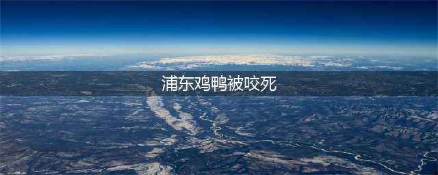 上海浦东1周近两百鸡鸭被咬死 凶手只吸血不吃肉(浦东鸡鸭被咬死)
