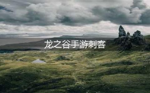 《龙之谷》手游转职刺客怎么加点 刺客加点攻略(龙之谷手游刺客)