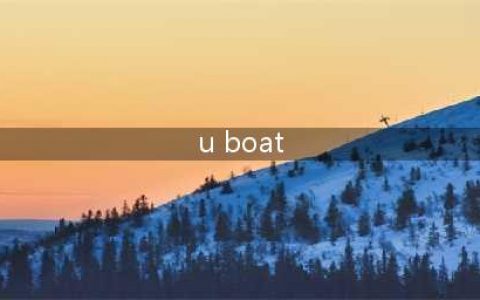 《UBOAT》新手入门攻略 开局技巧分享(u boat)
