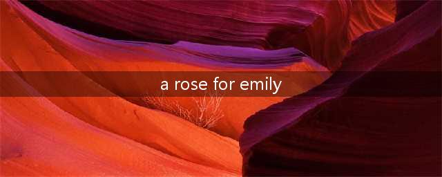 善恩《福克纳经典短篇小说 A Rose for Emily》精读课程(a rose for emily)