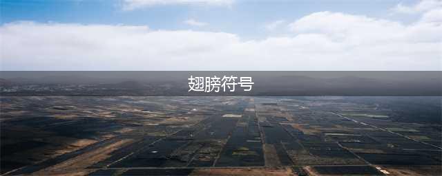 《王者荣耀》带翅膀的特殊符号汇总 带翅膀的特殊符号有哪些(翅膀符号)