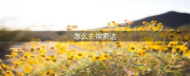 《魔兽世界》怎么去埃索达 联盟去埃索达路线分享