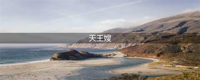 开扒四大天王背后的女人：四位天王嫂居然有2个共同点，是啥？(天王嫂)