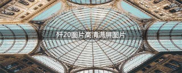 歼20首飞十周年，收藏歼-20高清大图！(歼20图片高清满屏图片)