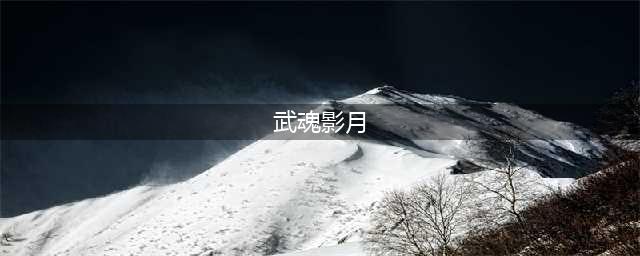 武魂2影月职业详解 武魂2影月怎么样