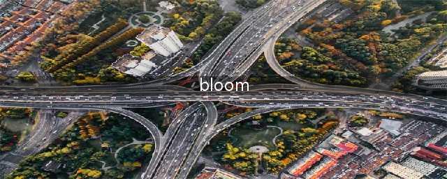 《原神》bloom是什么意思 bloom意思详解(bloom)