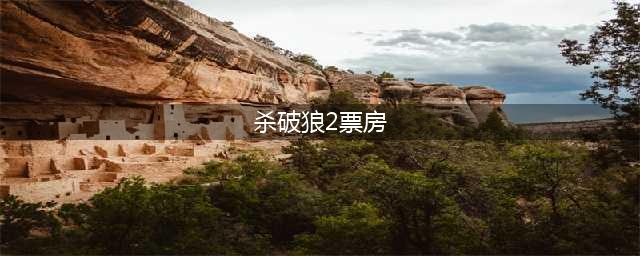 《杀破狼2》上映13天票房达4.8亿 张晋称难复制成龙(杀破狼2票房)