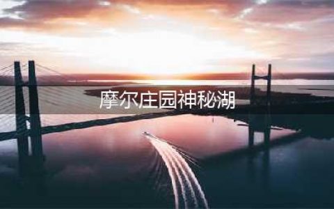摩尔庄园神秘湖在哪