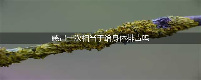 很久都不感冒是不是不好？一年感冒几次是不是等于在排毒？(感冒一次相当于给身体排毒吗)
