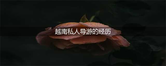 越南学生导游月薪过万，只是“带游客”吗？美女导游说出她的经历(越南私人导游的经历)