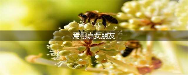 焉栩嘉绯闻女友正式曝光！粉丝居然嘲笑潘成然丑，哪来的自信(焉栩嘉女朋友)