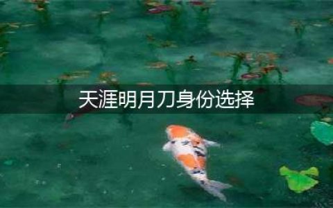 《天涯明月刀》身份攻略 新手身份选择推荐(天涯明月刀身份选择)