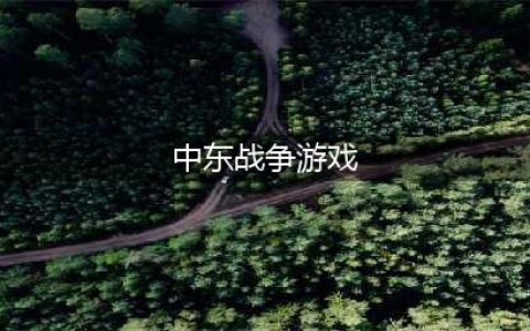 中东战争游戏下载大全推荐2022 最新的中东战争游戏有哪些(中东战争游戏)