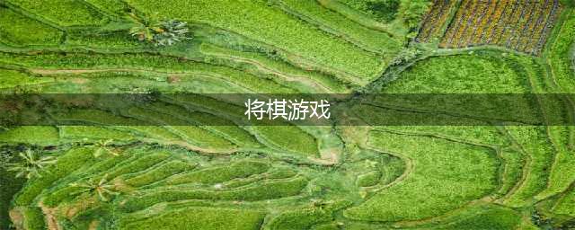 将棋游戏中文安卓版下载2022 益智的棋类游戏介绍(将棋游戏)