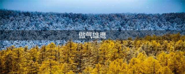 傲气雄鹰怎么玩？ 傲气雄鹰游戏玩法特色内容介绍(傲气雄鹰)