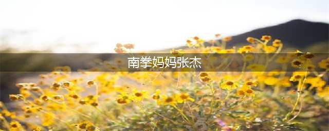 从清瘦歌手到硬汉型男：前南拳妈妈成员张杰的励志人生(南拳妈妈张杰)