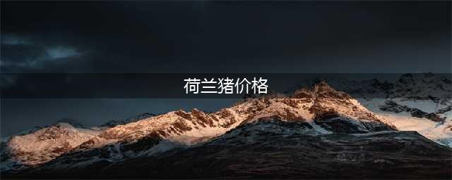 千万不要让孩子爸爸帮你解决你懒得解决的问题，因为这是在给自己找更大的麻烦(荷兰猪价格)