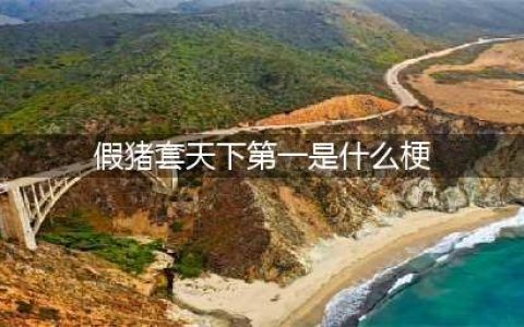 DNF假猪套天下第一什么梗 假猪套天下第一是从哪出来的梗(假猪套天下第一是什么梗)