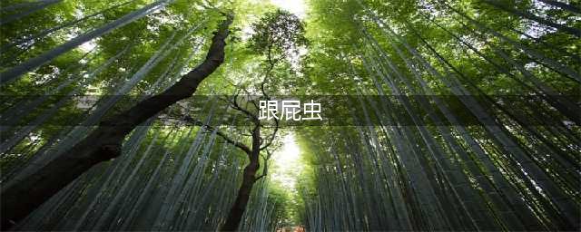 游泳的“跟屁虫”是什么东西，有什么用，为什么是野外游泳必备(跟屁虫)