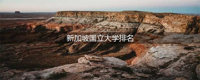 新加坡国立大学（NUS）：QS 2024全球第八！亚洲第一！(新加坡国立大学排名)