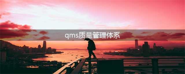 质量管理体系QMS(qms质量管理体系)