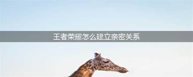 《王者荣耀》建立亲密关系方法介绍 怎么建立亲密关系(王者荣耀怎么建立亲密关系)