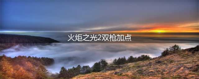 《火炬之光2》漂泊者飞镖双枪流打法及加点攻略(火炬之光2双枪加点)