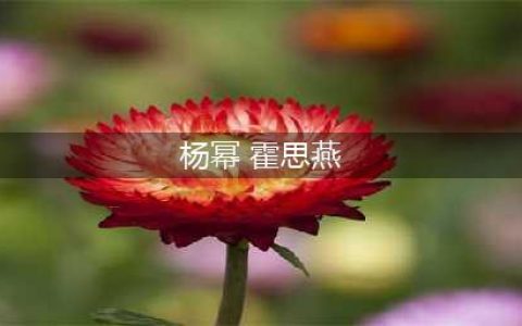 “泰迪姐妹团”现状：李小璐复出梦碎，杨幂混得最好，而她无人识(杨幂 霍思燕)