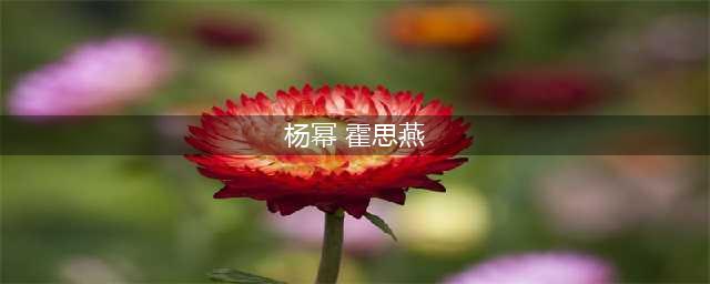 “泰迪姐妹团”现状：李小璐复出梦碎，杨幂混得最好，而她无人识(杨幂 霍思燕)