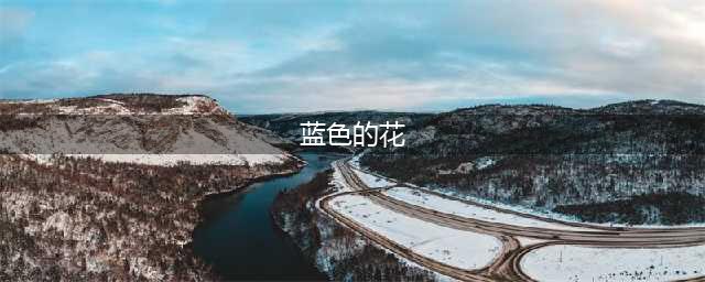 盘点10种蓝色的花，哪种最蓝？你喜欢哪种蓝花儿？(蓝色的花)