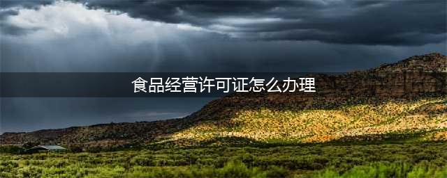 《食品经营许可证》申请提交材料、网上申报流程及操作手册(食品经营许可证怎么办理)