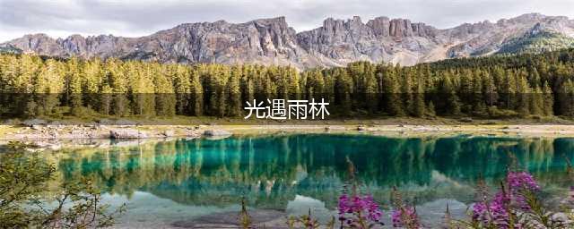 《Sky光遇》雨林动作展示 动作详细介绍(光遇雨林)