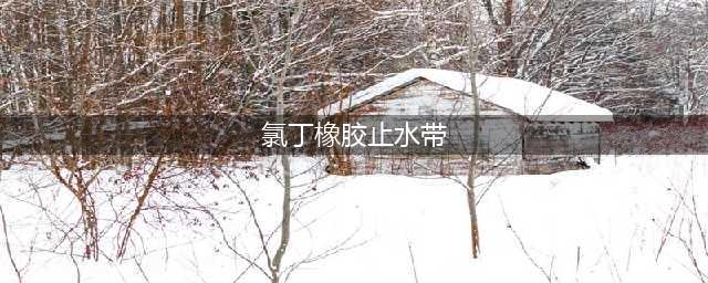 氯丁橡胶止水带(氯丁橡胶止水带)