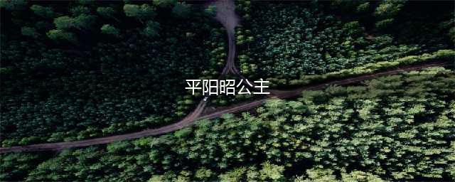 平阳昭公主：一朵盛开在大唐的铿锵玫瑰(平阳昭公主)
