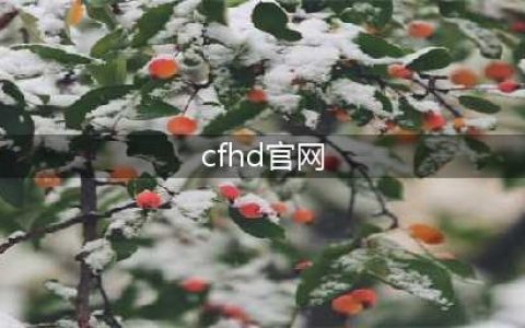《CF》HD官网是什么 HD官网预约地址分享(cfhd官网)