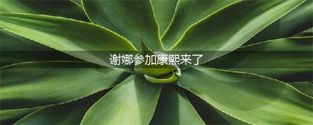 谢娜为什么招人讨厌？7年前的一档《康熙来了》，揭示了答案(谢娜参加康熙来了)
