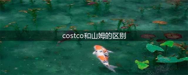 Costco VS 山姆，谁更懂“中国人”？(costco和山姆的区别)