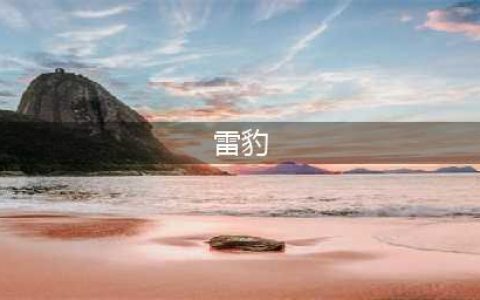 《武动乾坤》雷豹角色讲解 探讨雷豹厉不厉害(雷豹)