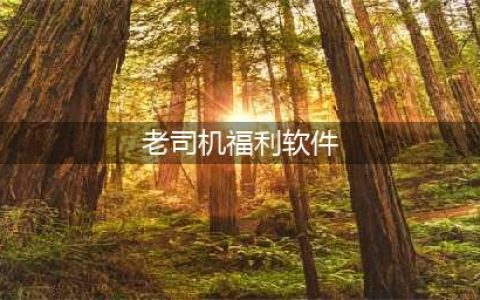 [原新老司机必备！推荐10款手机在线看片软件，满足你所有需求](老司机福利软件)