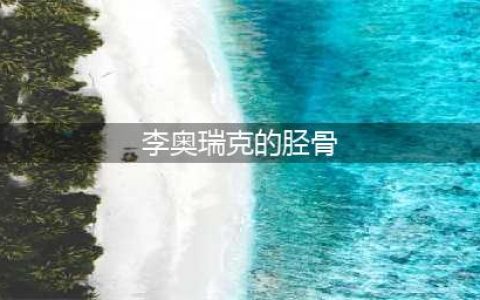 暗黑3李奥瑞克的胫骨怎么获得 李奥瑞克的胫骨获得方法