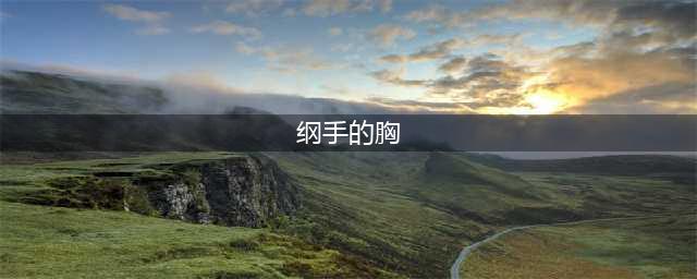 火影忍者中谁敢动纲手的胸？(纲手的胸)
