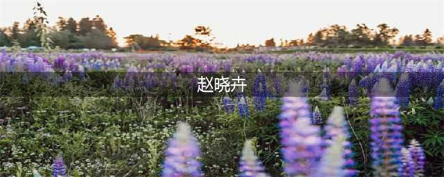 误入脱口秀圈的赵晓卉(赵晓卉)